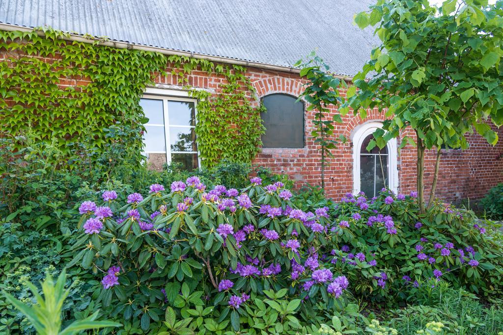 Ferienhof Kolauerhof - Bauernhofurlaub In Groemitz Exterior photo